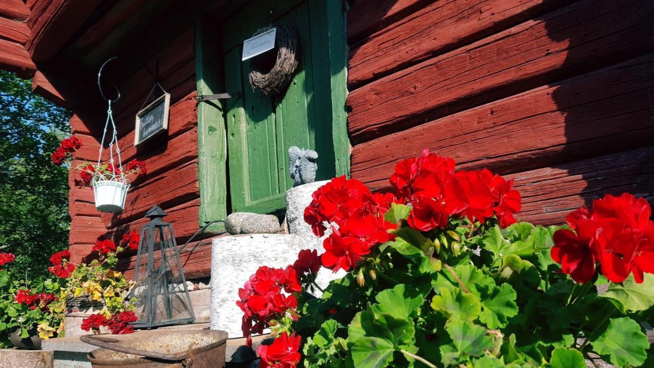 Villa Vuorenpaeae Tammela Bagian luar foto
