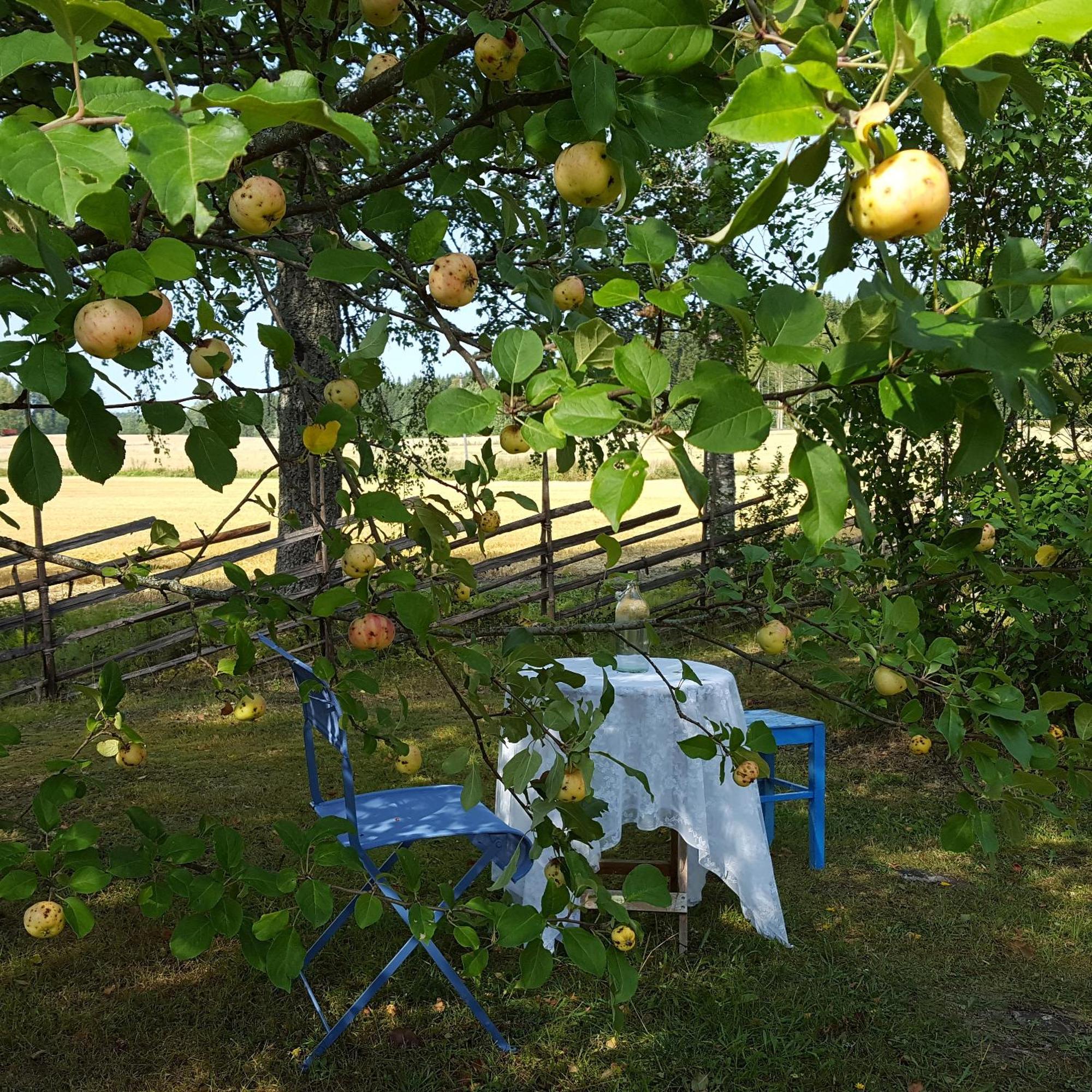 Villa Vuorenpaeae Tammela Bagian luar foto