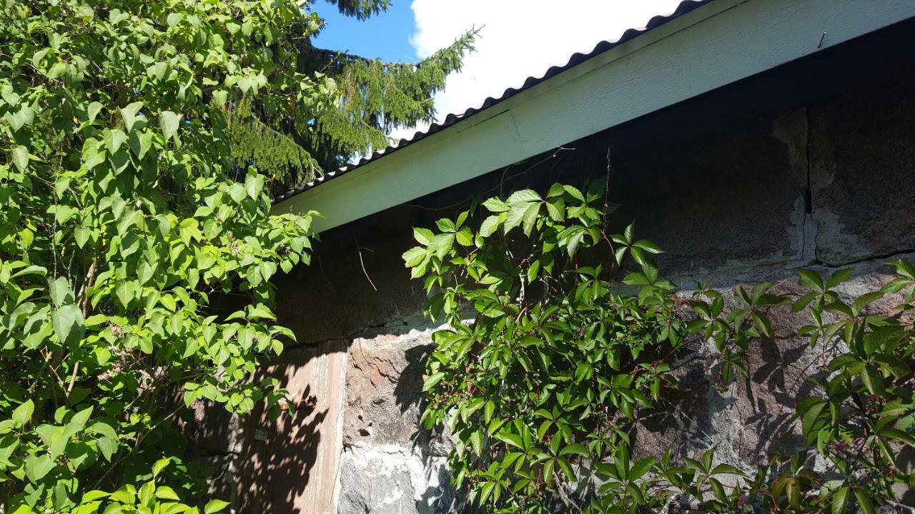 Villa Vuorenpaeae Tammela Bagian luar foto