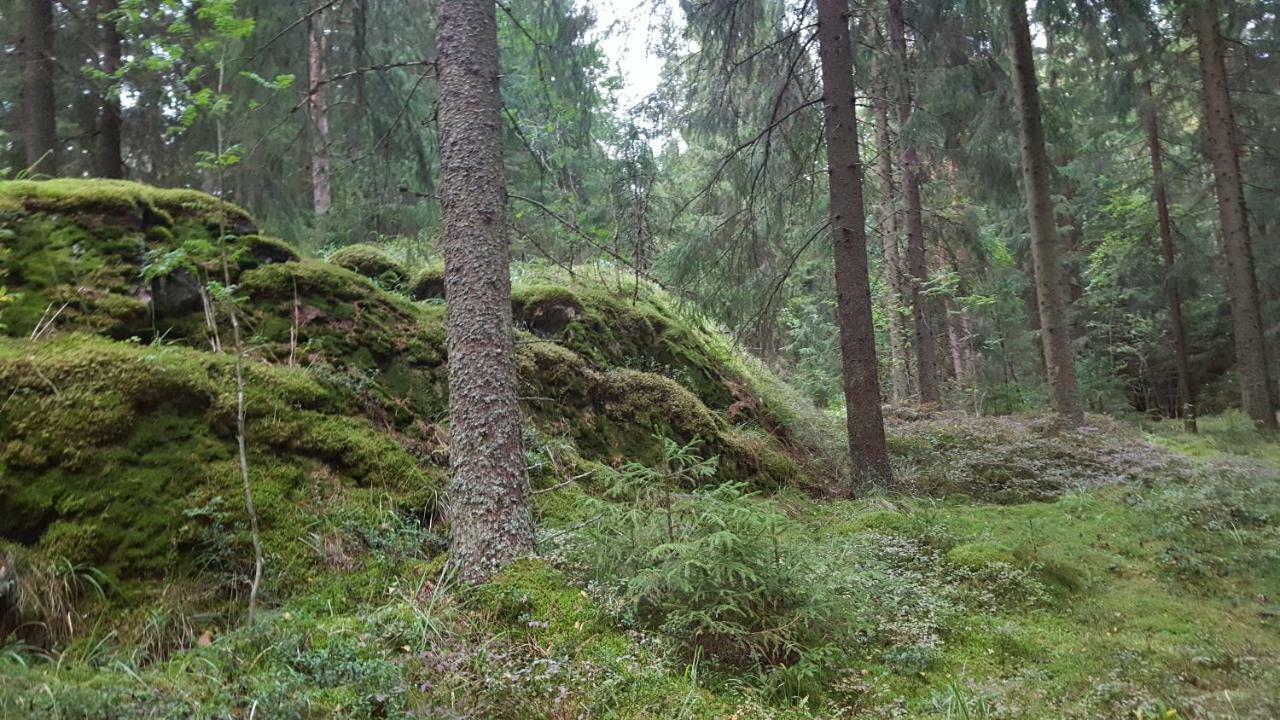 Villa Vuorenpaeae Tammela Bagian luar foto